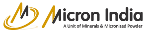micron-india